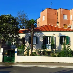 Nada , Zadar Chorwacja